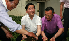 省科技廳領(lǐng)導(dǎo)及新華社來我司參觀全程馬鈴薯機